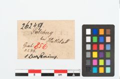 Etikett zu Bernsteinringperle (NHMW-PRAE-026249)